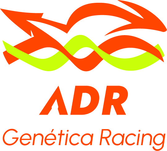 adrgeneticaracing.com